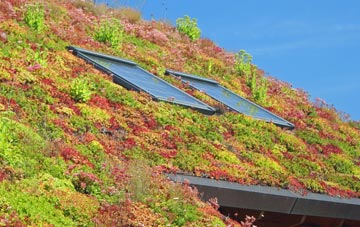 Dorking Tye living roof systems