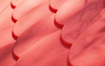 Dorking Tye plastic roof costs