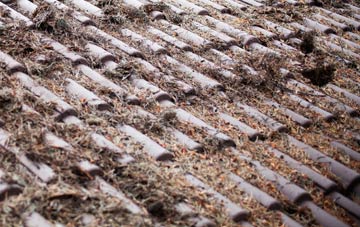 Dorking Tye roof cleaning companies
