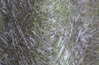 Dorking Tye fibreglass roof work