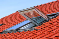 Dorking Tye roof window