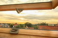 rated Dorking Tye roof window companies